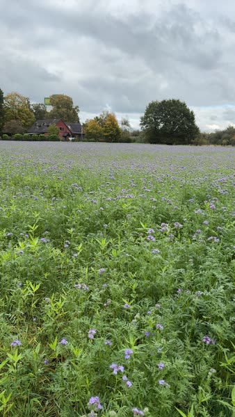 Naturschutz auf dem Hof Amelung